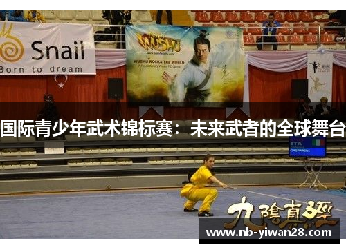 国际青少年武术锦标赛:未来武者的全球舞台 国际青少年武术锦标赛:未来武者的全球舞台