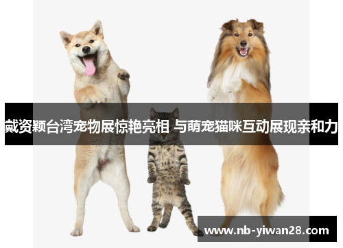 戴资颖台湾宠物展惊艳亮相 与萌宠猫咪互动展现亲和力 戴资颖台湾宠物展惊艳亮相 与萌宠猫咪互动展现亲和力