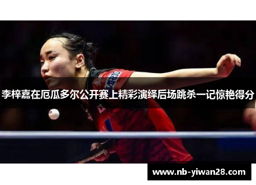 李梓嘉在厄瓜多尔公开赛上精彩演绎后场跳杀一记惊艳得分 李梓嘉在厄瓜多尔公开赛上精彩演绎后场跳杀一记惊艳得分