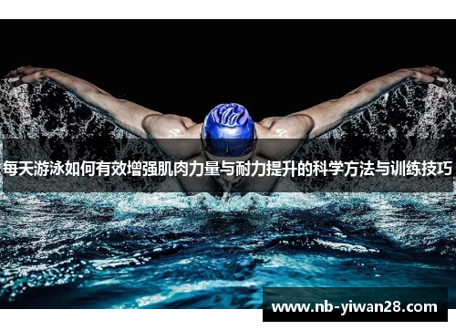每天游泳如何有效增强肌肉力量与耐力提升的科学方法与训练技巧 每天游泳如何有效增强肌肉力量与耐力提升的科学方法与训练技巧