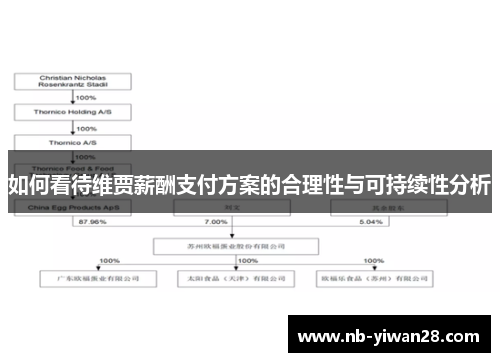 如何看待维贾薪酬支付方案的合理性与可持续性分析 如何看待维贾薪酬支付方案的合理性与可持续性分析