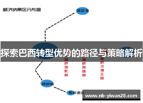 探索巴西转型优势的路径与策略解析 探索巴西转型优势的路径与策略解析