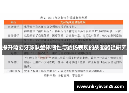 提升葡萄牙球队整体韧性与赛场表现的战略路径研究 提升葡萄牙球队整体韧性与赛场表现的战略路径研究